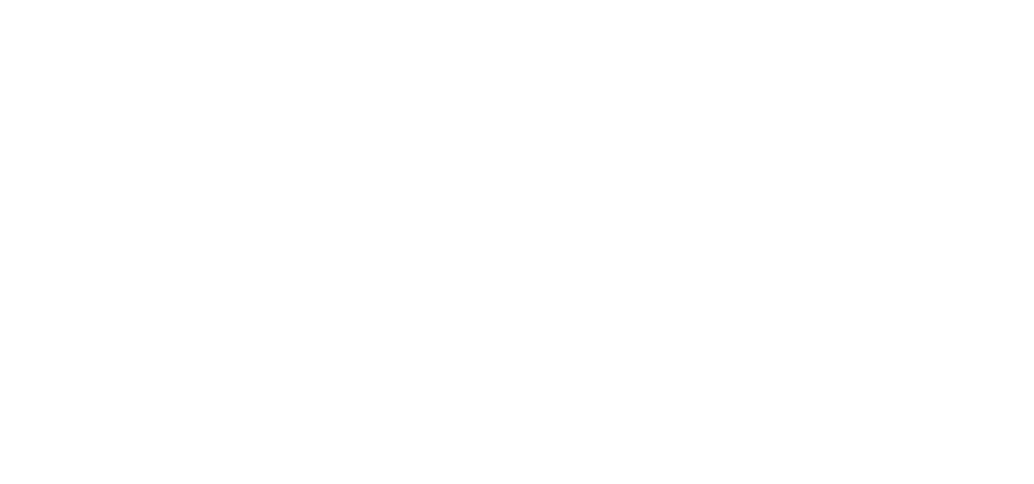 PLC_LOGO_Precision-white 