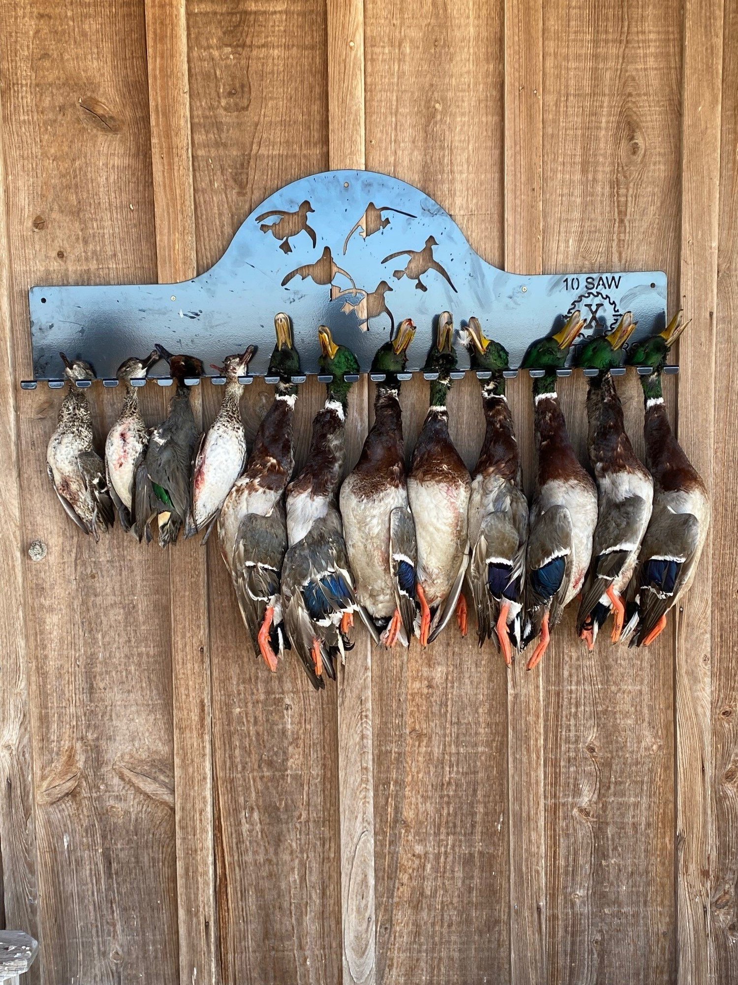 duck rack-1 duck rack-1